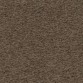 Tapestry Zoomed Swatch