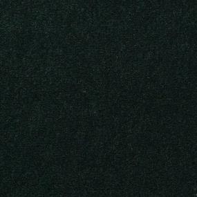 Mistletoe Zoomed Swatch