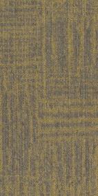 Attraction TL - Charisma Swatch