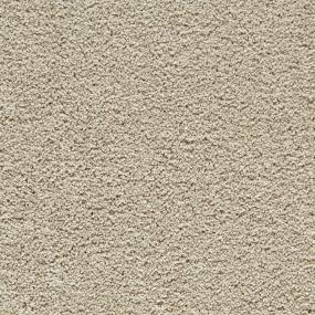 Eagle Trail IV 12' - Desert Path Swatch