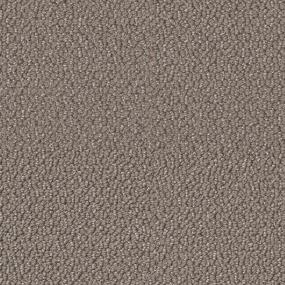 Chestnut Zoomed Swatch