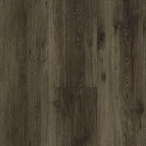 Ironsides Swatch Thumbnail