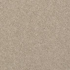 Cozy - Driftwood Swatch