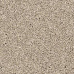 Driftwood Zoomed Swatch