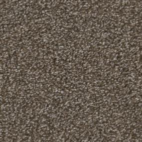 Mocha Zoomed Swatch
