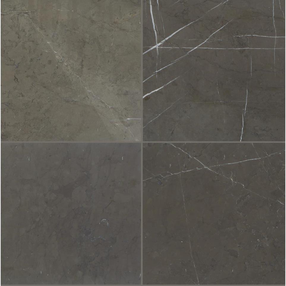 Marble Square 12X12 HN by Bel Terra - Antico Scuro Honed
