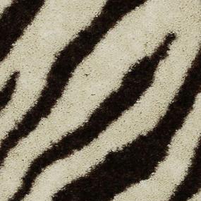 Zebra Zoomed Swatch