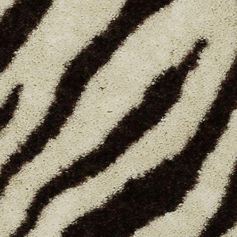 Zebra Zoomed Swatch