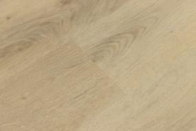 Cliff Palace Dwelling - Sea Shell Swatch