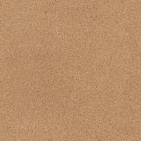 Tribute - Corvo Swatch