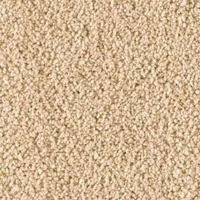 Soft Eloquence - Graceful Swatch