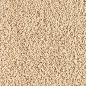 Graceful Zoomed Swatch