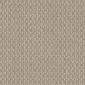 Chamois Zoomed Swatch