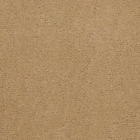 Campground Zoomed Swatch