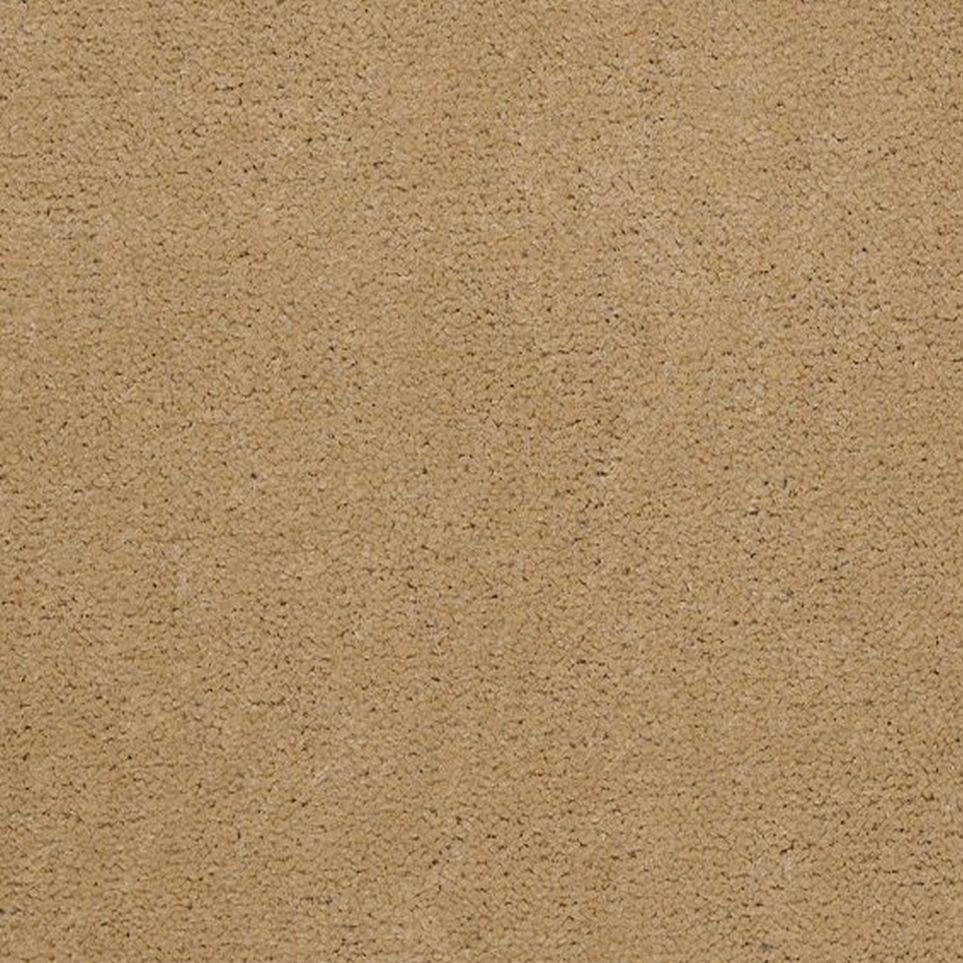 Campground Zoomed Swatch