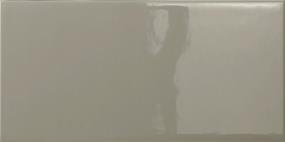 Catch Gloss 3X6 - Taupe Swatch