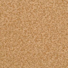 Semitones - Cheetah Swatch