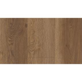 Coretec Plus Enhanced Xl - Arvon Oak Swatch