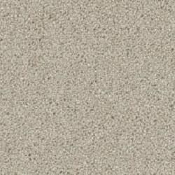 Balboa 1200 - Fp007 - Seashell Swatch