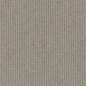 Pebble Gray Zoomed Swatch