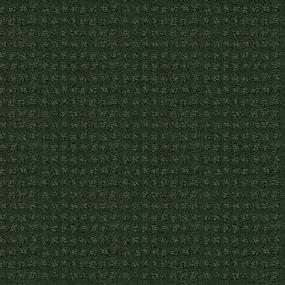 Forest Veil Swatch Thumbnail