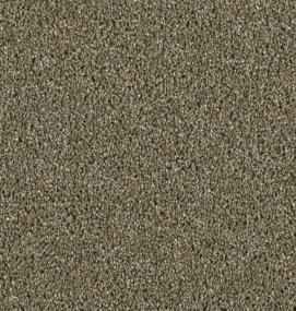 Cce 225 - Cinnamon Tea Swatch