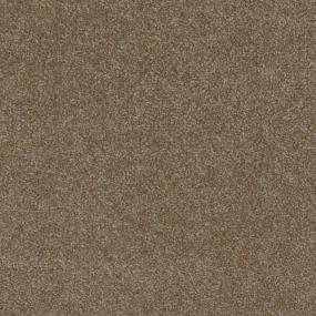 Morel Swatch Thumbnail