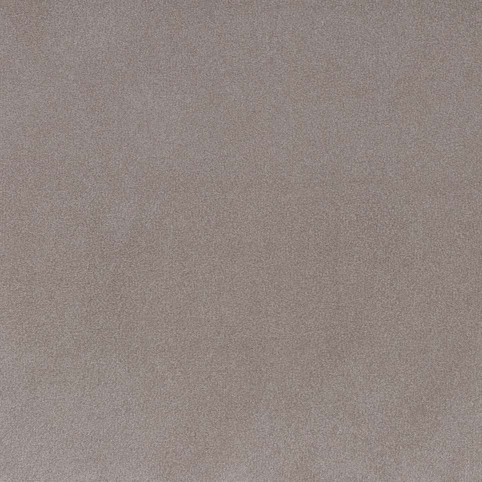 Oyster Shell Swatch