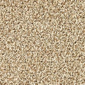 Castle Grounds - Ancient Oak Swatch