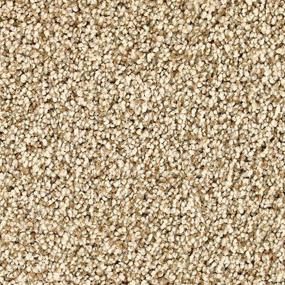 Ancient Oak Zoomed Swatch