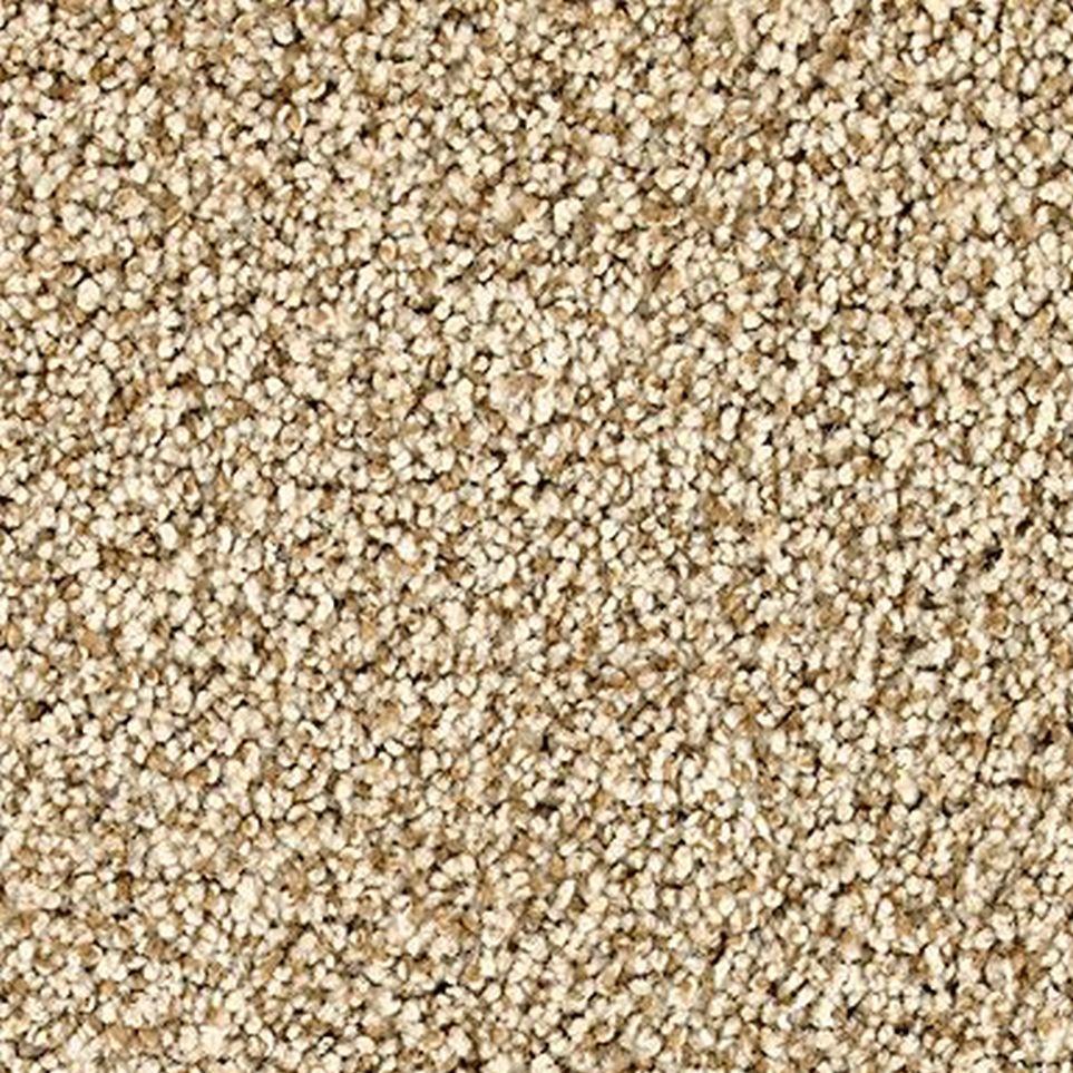 Ancient Oak Zoomed Swatch