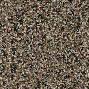 West Brow - Magnetite Swatch