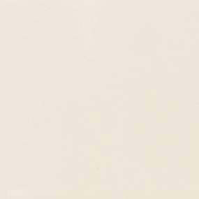 Color Wheel Classic Square 6X6 MT Grp1 - Matte Biscuit Matte Swatch