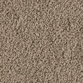 Soft Eloquence - Teak Swatch