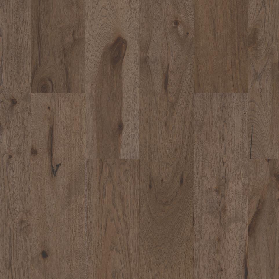 Cronista - Hickory by Louis A. Dabbieri ® - Serendipity
