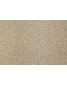 Leopard Point - Savannah Swatch