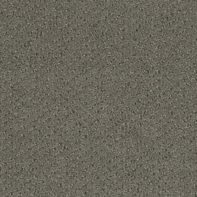 Terra Firma Swatch Thumbnail