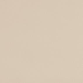 Palomino Satin Swatch Thumbnail