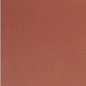 Red Blaze Abrasive Zoomed Swatch