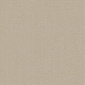 Deer Path - Destiny Swatch