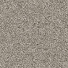 Big Dog - Chow Chow Swatch