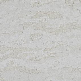 Zinc Zoomed Swatch