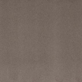 Derbyshire I - Elmwood Swatch