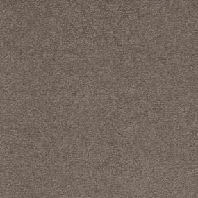 Elmwood Zoomed Swatch