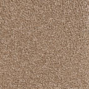 Montauk - Mushroom Swatch
