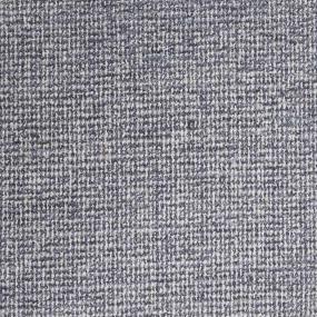 Hollywood - 12x95 - Nightlife Swatch