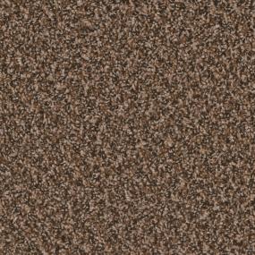 Toast Of The Town - Black & Tan Swatch