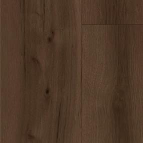 Chestnut Zoomed Swatch