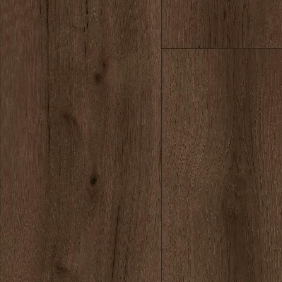 Chestnut Zoomed Swatch