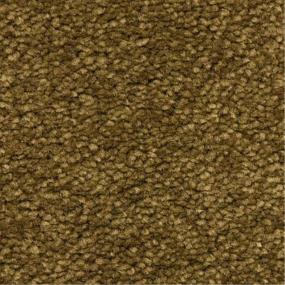 Esperanza - Bisonte Swatch